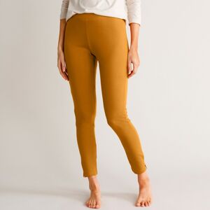 Blancheporte Úzké jednobarevné kalhoty s pružným pasem okrová 50